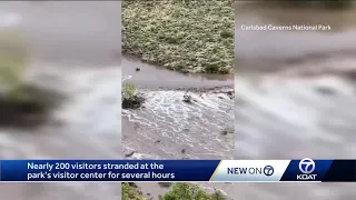 Park officials respond to flooding incident near Carlsbad Caverns