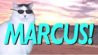 HAPPY BIRTHDAY MARCUS! - EPIC CAT Happy Birthday Song