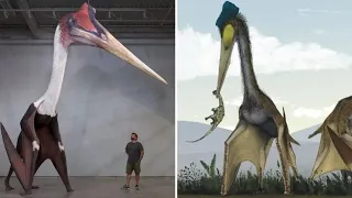 The Largest Flying Animal Ever (Not Bird)