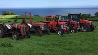 Classic Massey Ferguson at the round bale silage 2020