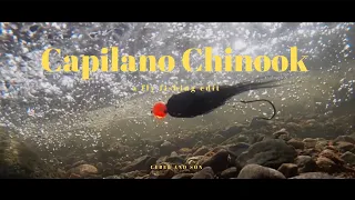 Fly Fishing for Chinook Salmon (GoPro Underwater Intruder Fly Action)