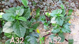 A52 vs A32 Camera Test | Samsung A52 Camera Test | Samsung Galaxy A32 Camera Test | A32 vs A52 revie