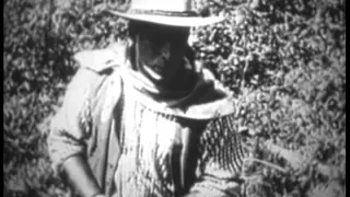 Bad Buck of Santa Ynez (1914)