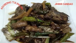 HOW TO COOK ADOBONG TULINGAN (MY OWN VERSION)OFW LIBANGAN IN KSA