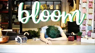 [BnHA CMV] Bloom - TodoDeku  COLLAB