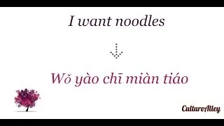 Basic Mandarin Chinese | Lesson 26 | Conversation at a restaurant I