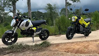 We Are Mini Moto Mississippi (stretched 2023 Grom Build, Custom Navi Build)