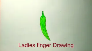 Ladies finger Drawing || How to Draw Ladies finger Step by Step || সহজে ঢেড়শ আঁকার উপায়