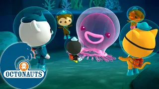 Octonauts - Le cténophore géant | Dessins animés pour enfants