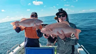 DCharterZ (CAIRNS REEF FISHING FOR CORAL TROUT!)