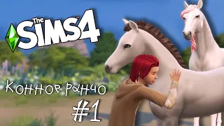 Конное ранчо |The Sims 4| #1