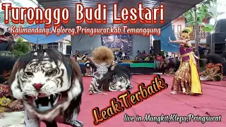 terjozsh tari massal, leak,Turonggo Budi Lestari live in Mungkit,Klepu,Pringsurat,kab.Temanggung