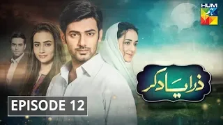 Zara Yaad Kar Episode 12 HUM TV Drama