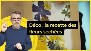 Déco : la recette des fleurs séchées - C Jamy