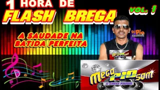 DJ PIO SAUDADE - UMA HORA DE FLASH BREGA vol. 1
