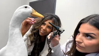 I took my duck to the Vet