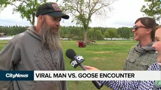 Viral video of goose fighting a man