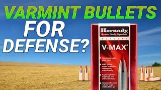 Varmint Bullets For Defense? .300AAC 110gr V-Max gel test