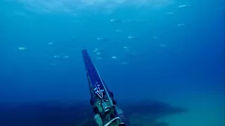 דייג בצלילה חופשית - לוקוס אירדי - 15.06.17 - Spearfishing Israel - Mottled Grouper