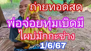 ถ่ายทอดสดพ่อจ่อยปล่อยตัวเน้นเลขฝัน1/6/67