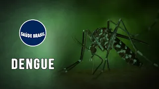 DENGUE | SÉRIE SAÚDE BRASIL