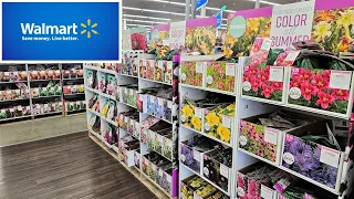 Walmart Inventory March 2023 Caladiums! Bare Root Perrenials, Roses, Solar Lighting, & Garden Decor