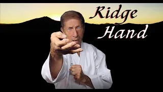 Martial Arts Lesson in One Minute: Ridge Hand Attack