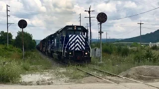 Reactivated Railroad Part 2, First Train In Months, Switching Car Out Of Storage!  Rusty Rails, N&W