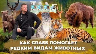 Редкие виды животных | Заповедники России | Как GRASS помогает животным