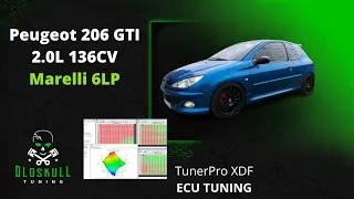 Peugeot 206 GTI tuning Marelli 6LP with TunerPro