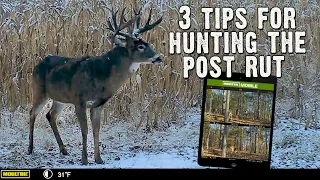 3 Post Rut Tips - How to Hunt the Post Rut