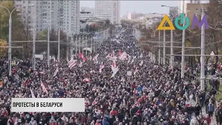 Партизанский марш в Беларуси: задержаны 239 человек