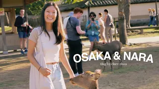 OSAKA & NARA VLOG | bowing deer, Kuromon market, cute cafe, food adventures in Japan