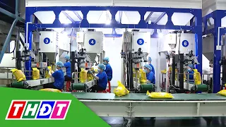 Điểm sáng xuất khẩu lúa gạo của Việt Nam | THDT