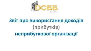 Звіт про використання доходів неприбуткової організації