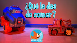 ¿Qué le das de comer?