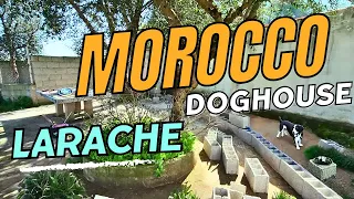 Dog kennels in Morocco. Larache is known for its lush countryside and wildlife.