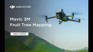 Mavic 3M Fruit Tree Aerial Survey and Mapping