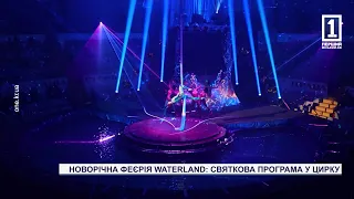 Новорічна феєрія Waterland: святкова програма у цирку