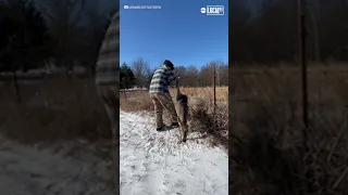 Heroic couple rescues deer stuck in fence