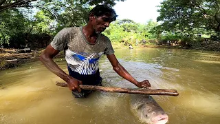 OMG !! 🇱🇰 Village Fishing  | Catching a lot of Big Fish | Wild Style Fishing in Raining Season