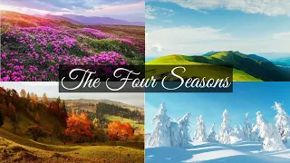 Vivaldi: The Four Seasons (Spring, Summer, Autumn, Winter)