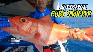 Berburu Ikan Monster Di Laut Flores | MANCING MANIA STRIKE BACK (29/07/23) Part 1