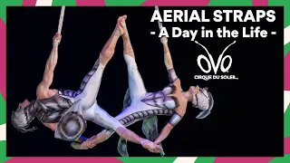 True Chemistry in a Duo Aerial Straps Act | A Day in The Life of OVO | Backstage Cirque du Soleil