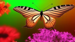 "Unveiling Fluttering Beauties: The Mesmerizing World of Butterflies"