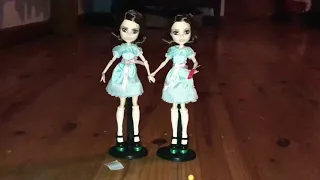 MONSTER HIGH GRADY TWINS SKULLECTOR DOLL REVIEW!