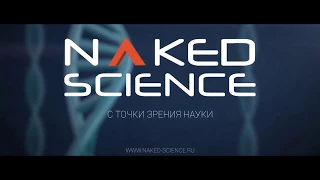 ШЕСТЕРНИ   Фантастика Короткометражный фильм