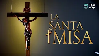 Santa Misa de HOY Martes 6 de Diciembre de 2022 en Teleamiga