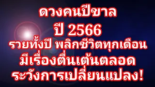 ระวังการเปลี่ยนแปลง! ดวงคนปีขาล ในปี 2566 รวยทั้งปี พลิกชีวิตทุกเดือน มีเรื่องตื่นเต้นตลอด!