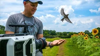 Bird Taking Off at 20,000 fps (213 milliseconds) - Smarter Every Day 197